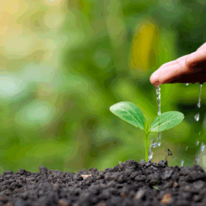 Sustainability in Trauma Work: Trauma Stewardship-February 25, 2026